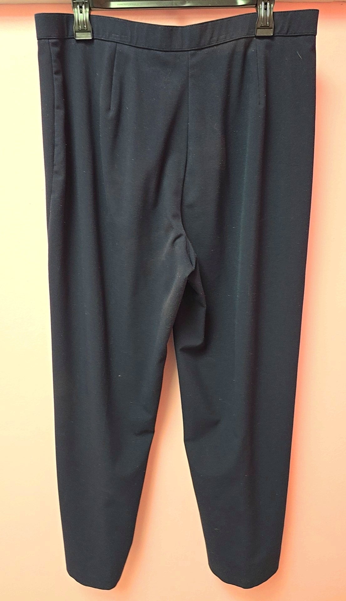 Size 16 Briggs NY Pants